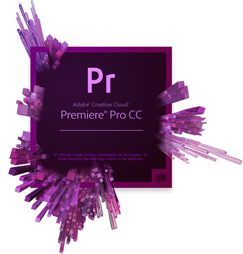 Licencia Adobe Premiere Pro CC / Producción y Edición de Vídeo | 2306 - Software para producción y edición de vídeo personalizable, no lineal que te permite editar, importar y combinar cualquier tipo de medio a partir de una toma de video