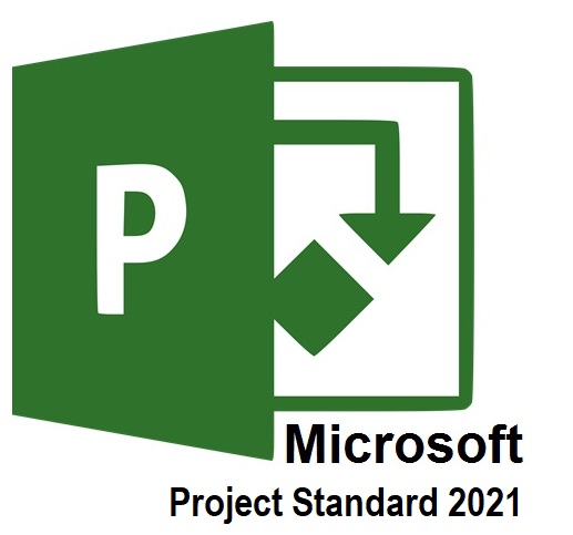 Licencia Project Standard 2021 ESD / 076-05905 | 2202 - Licencia Comercial Perpetua Microsoft Project Estándar 2021 ESD. Descarga Electrónica, Transferible de Hardware. 
